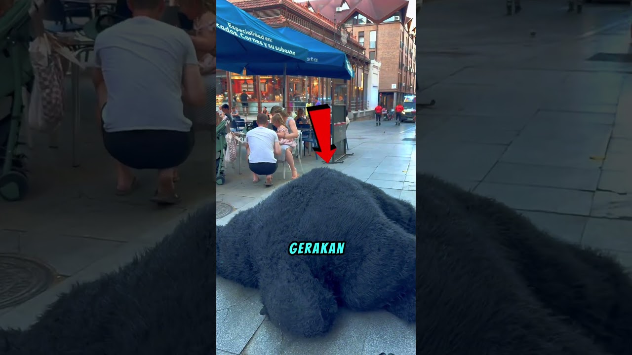 Prank Gorilla Raksasa🦍 #shortviral