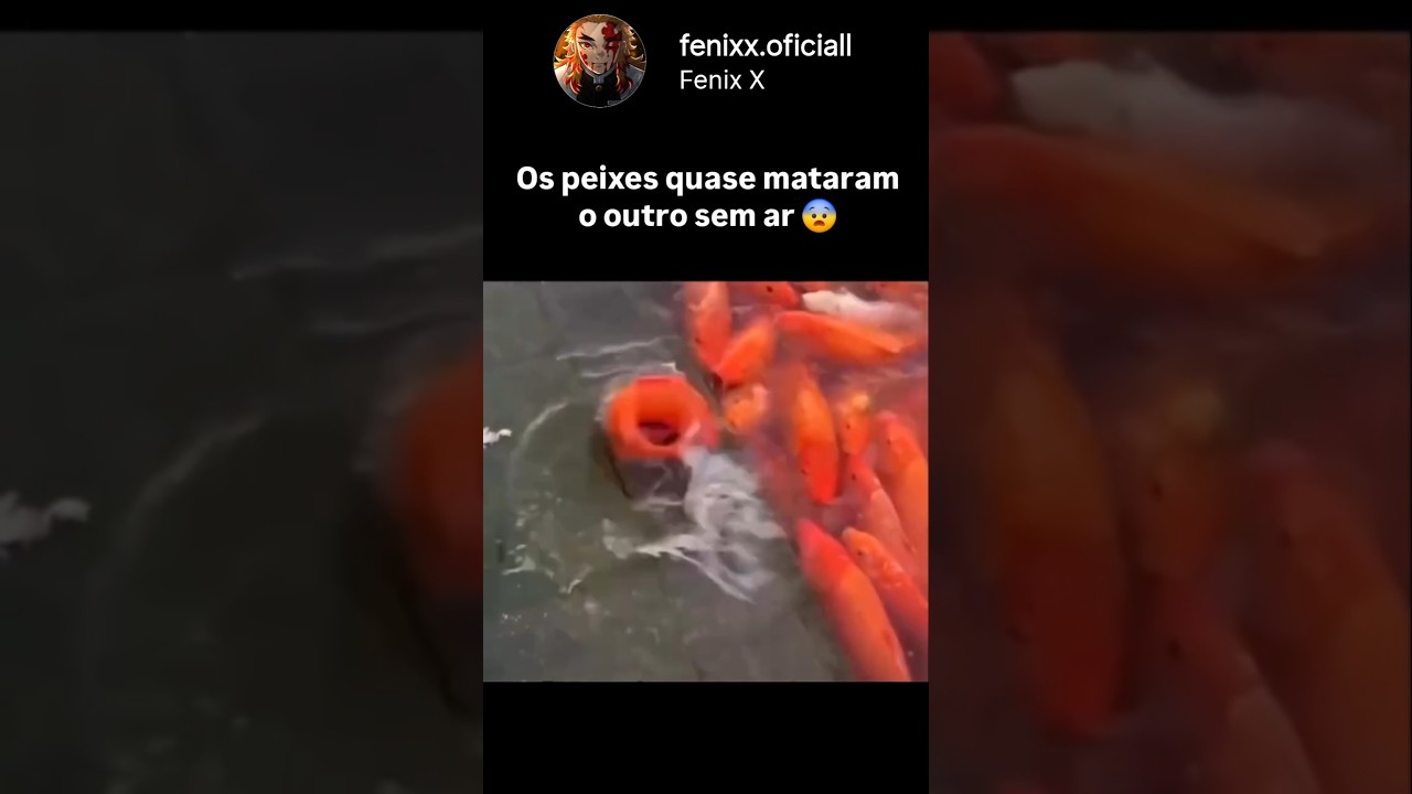 O peixe quase não resistiu! 😱🐟