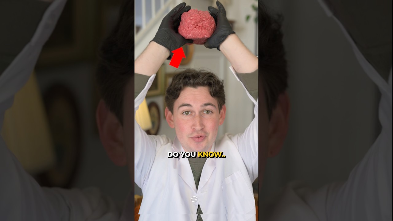 What Human Brains Actually Feel Like 🧠
