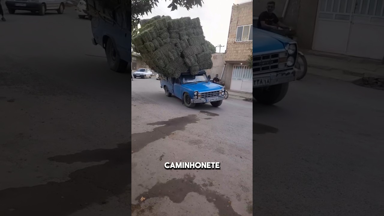 Coisas que DÃO MULTA!!! #carros #automobile #car