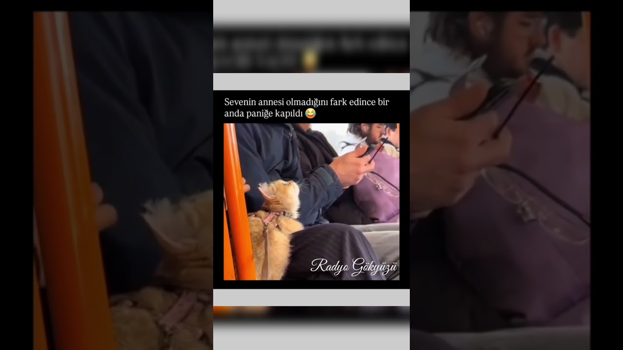 Sonradan Fark Etti 😂 #shorts #viral #viralvideo #keşfet #shortvideo #trend #youtubeshorts #ytshorts