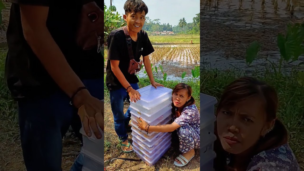 jangan jajan terus dong de