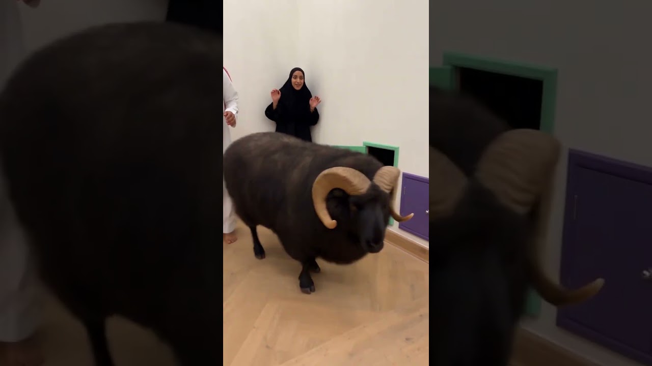 خاروف في دبي!