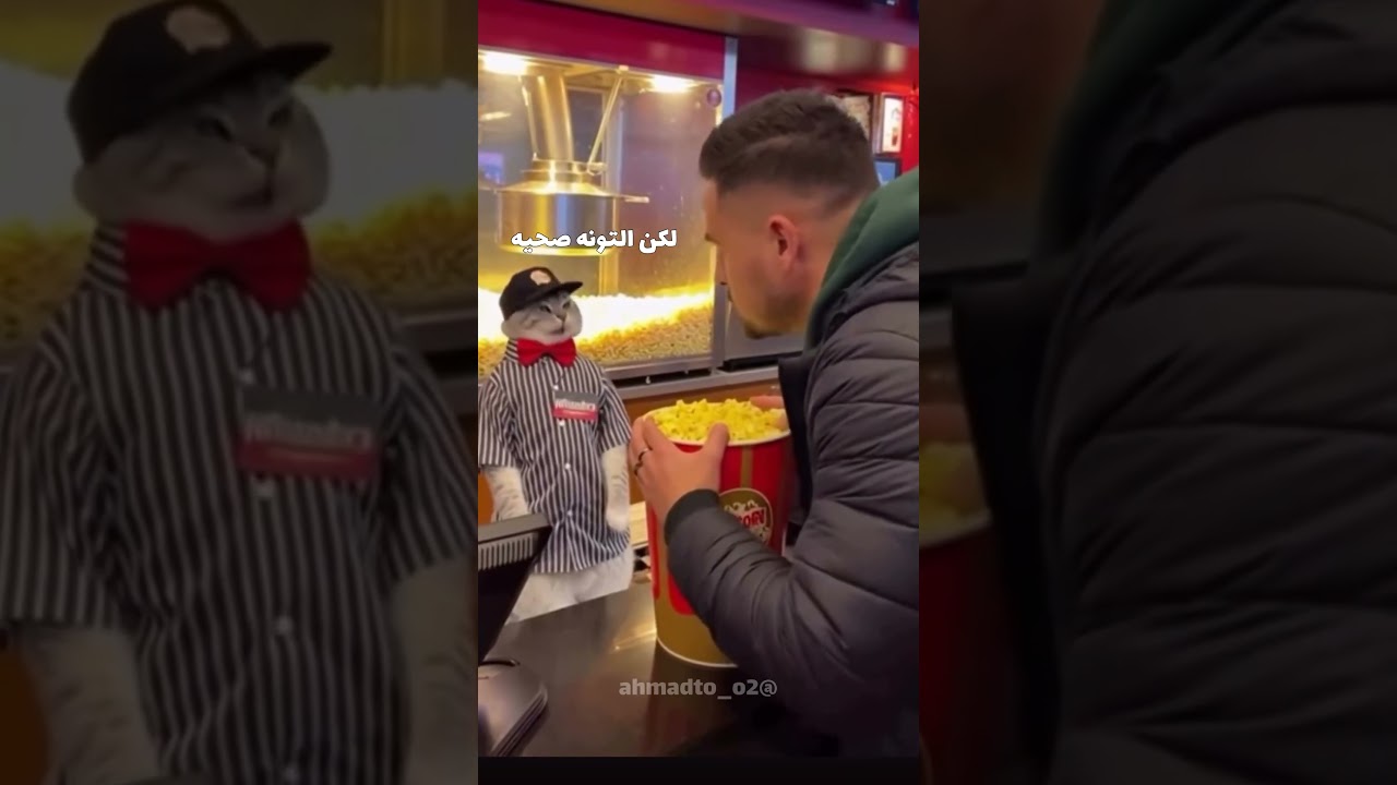 التونا مع البوشاررر #cat #كوميديات #هتضحك #قطط #viral #اكسبلور #funny