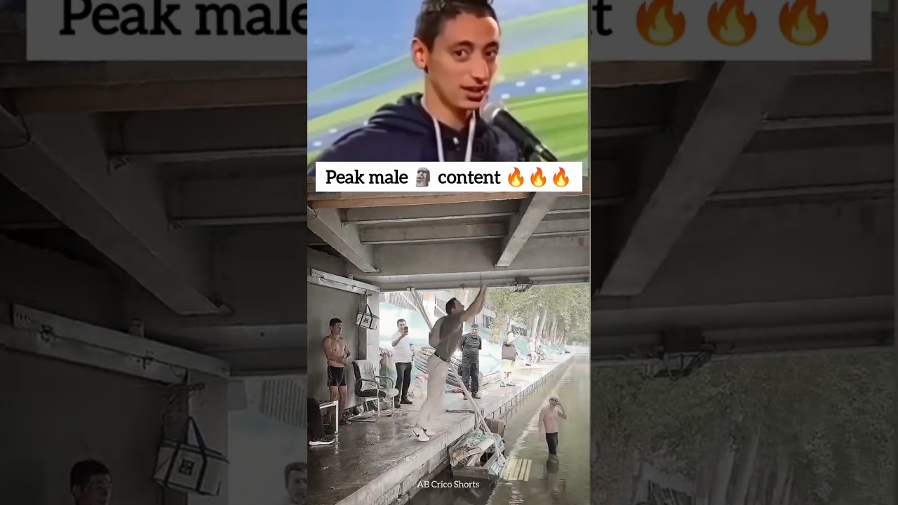 #newcreator