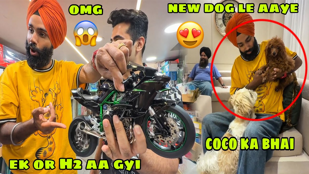 Coco ka bhai aa gya 😍 ek or Dog le aye or New H2 bhi aa gyi 🔥 meri New Beard look dkh k sab hairaan😬