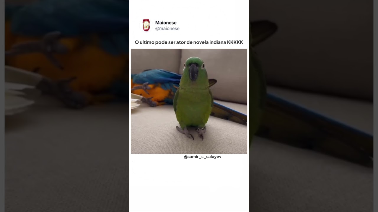 22 de agosto de 2026