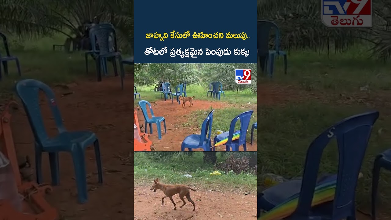 జాహ్నవి కేసులో ఊహించని మలుపు.. తోటలో ప్రత్యక్షమైన పెంపుడు కుక్క! - TV9
