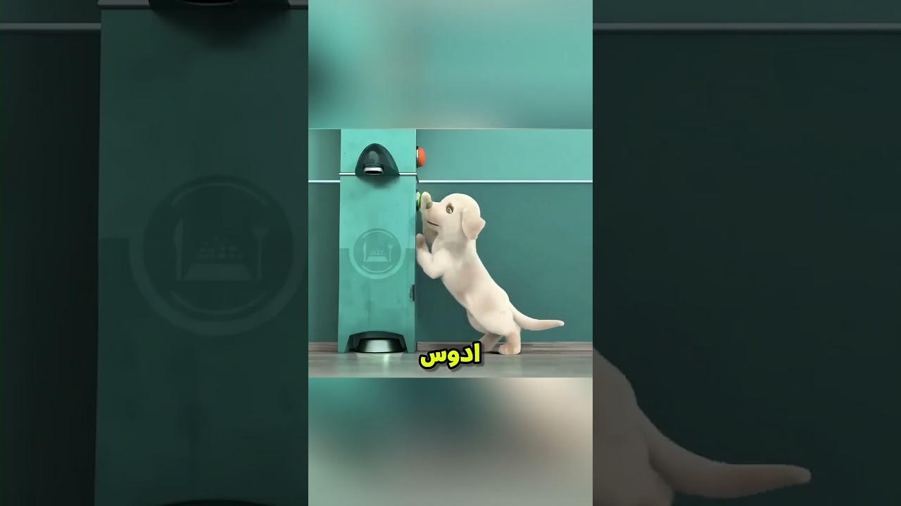 الكلب القصير بيدخل مركز تتريد وبيكون الاقوة بعد مكان اضعف كلب😲🐶؟