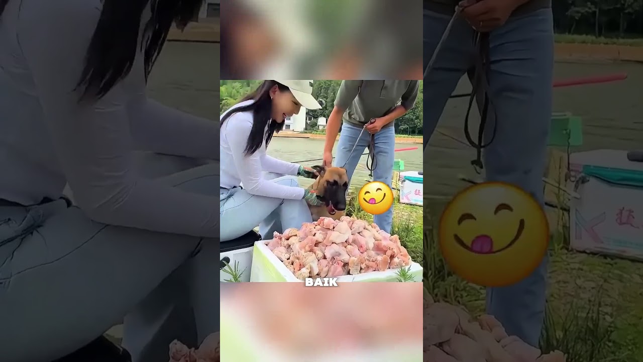 The Smart Dog Who Exposed Cheating and Saved a Life