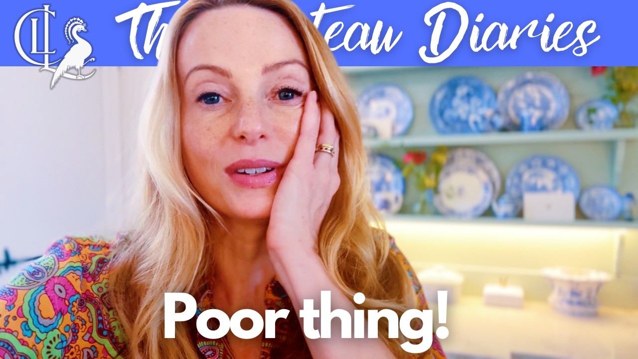 A Little Setback..! - Published by The Chateau Diaries