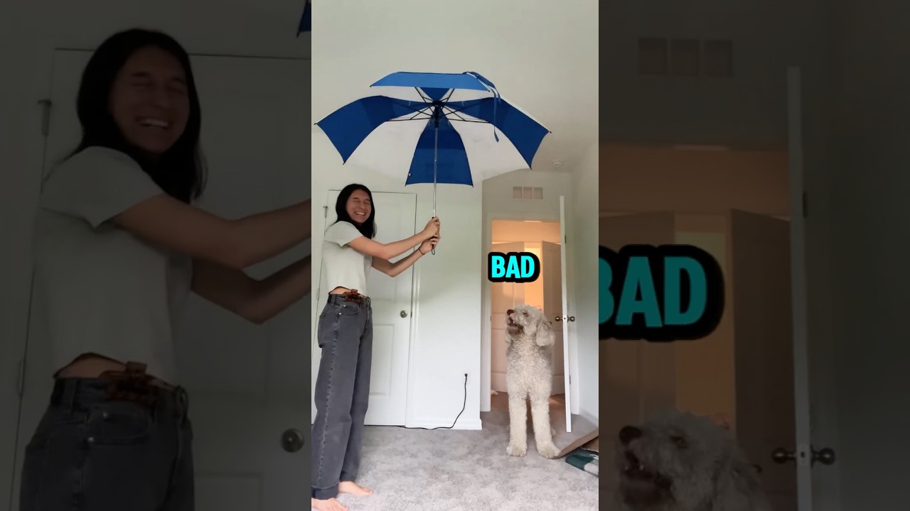 DoN'T OpEn ThAt UmBreLLa RaYchuLLah! ☂️😤