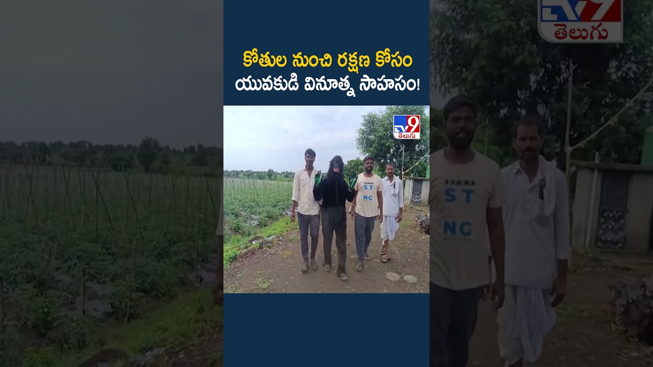 Nirmal : కోతుల నుంచి రక్షణ కోసం యువకుడి వినూత్న సాహసం! - TV9