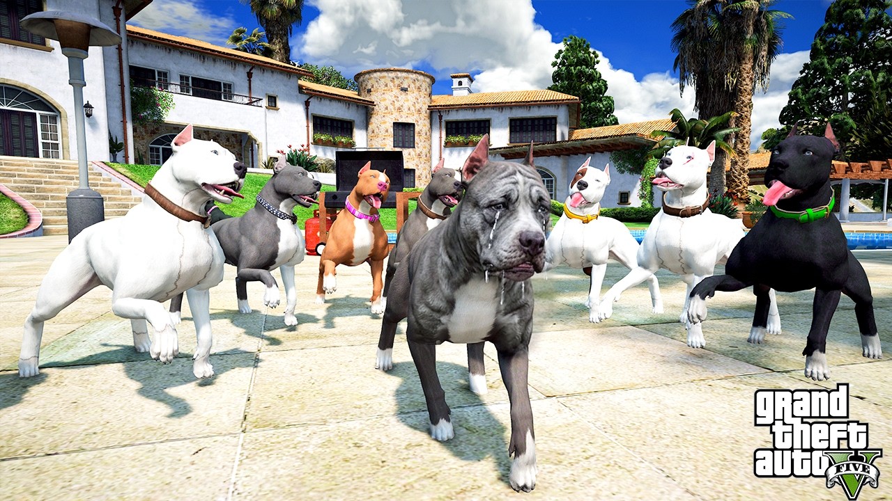 PİTBULL AİLESİ TERMİNATÖR'LE DALGA GEÇİYOR :( - GTA 5
