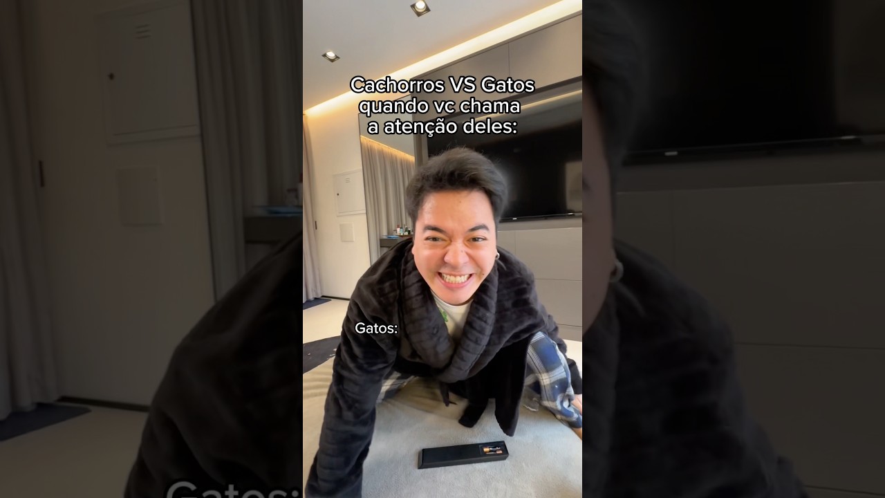 GATOS VS CACHORROS QUANDO VC FALA COM ELES 😹 KKKKK *publi
