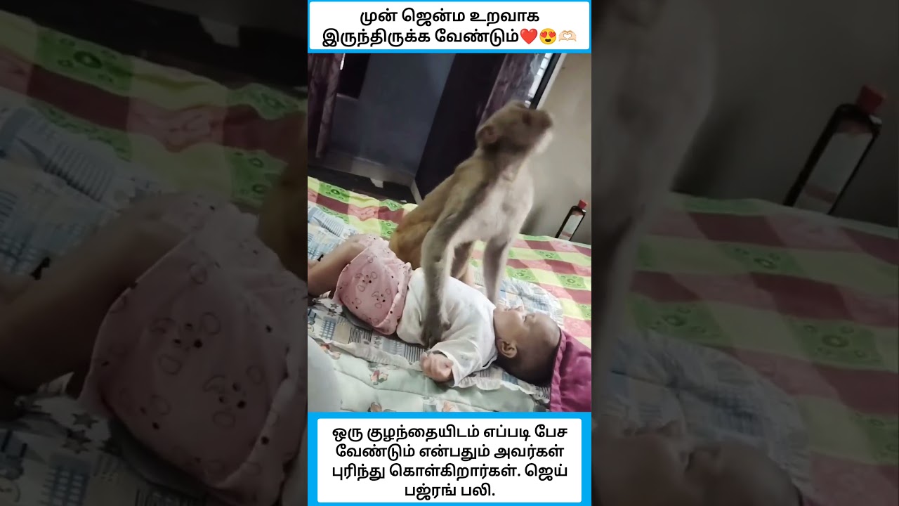 முன் ஜென்ம உறவாக இருந்திருக்க வேண்டும் #shorts