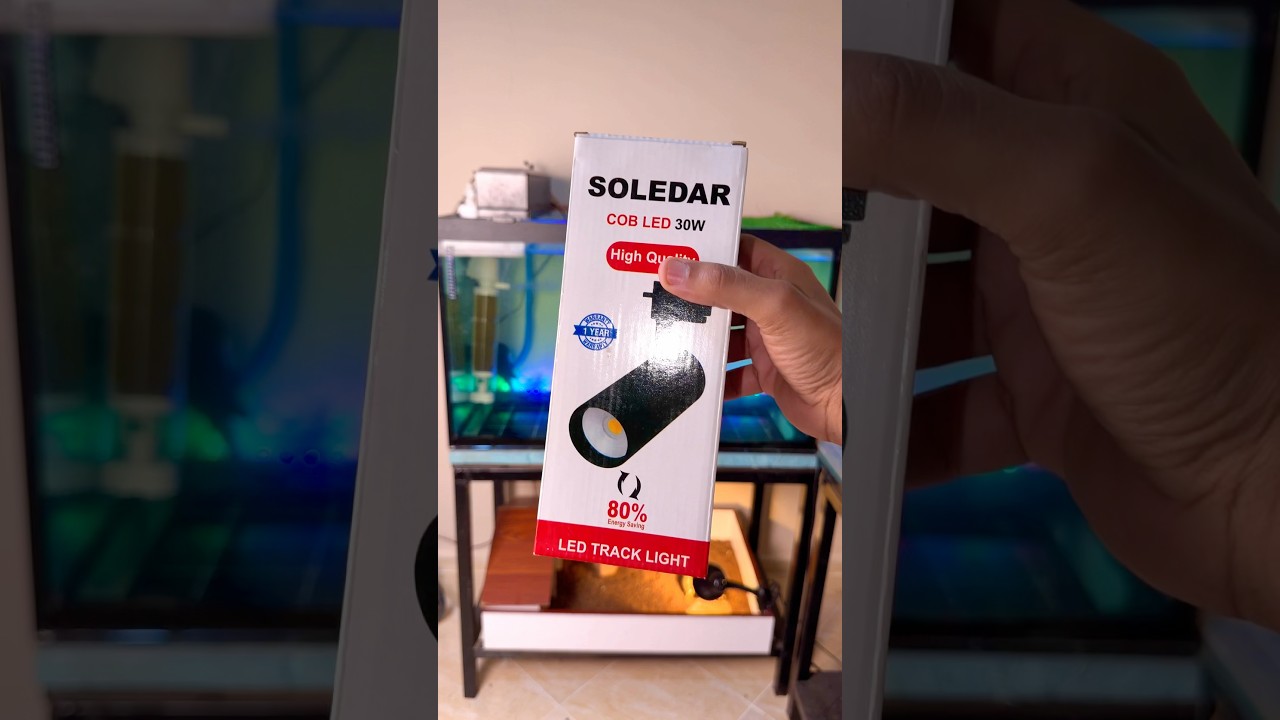 إختراع إضاءة عبقري 🤝💡