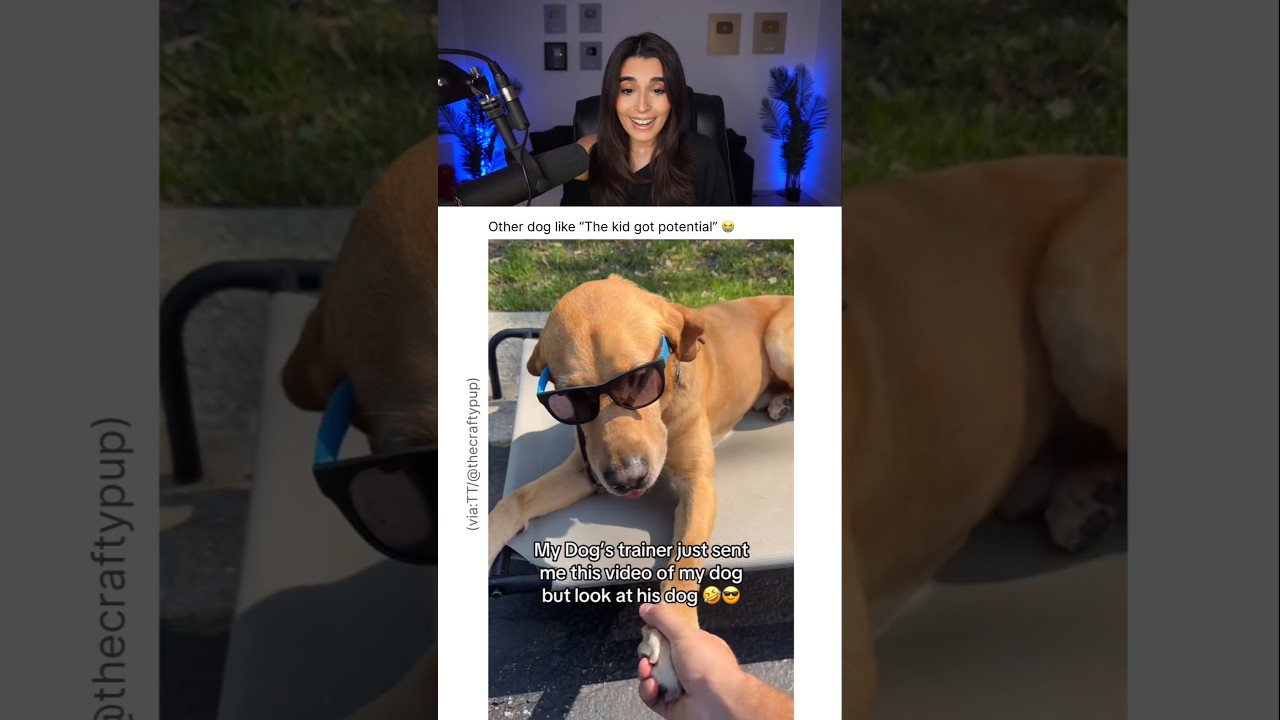 HER DOG'S TRAINER IS CRAZY 😭