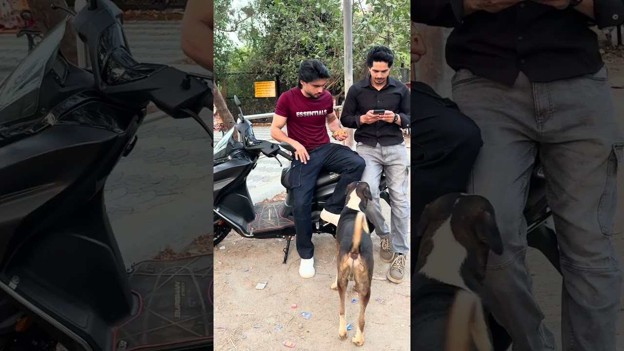 That one frd  .#abrazkhan #shorts