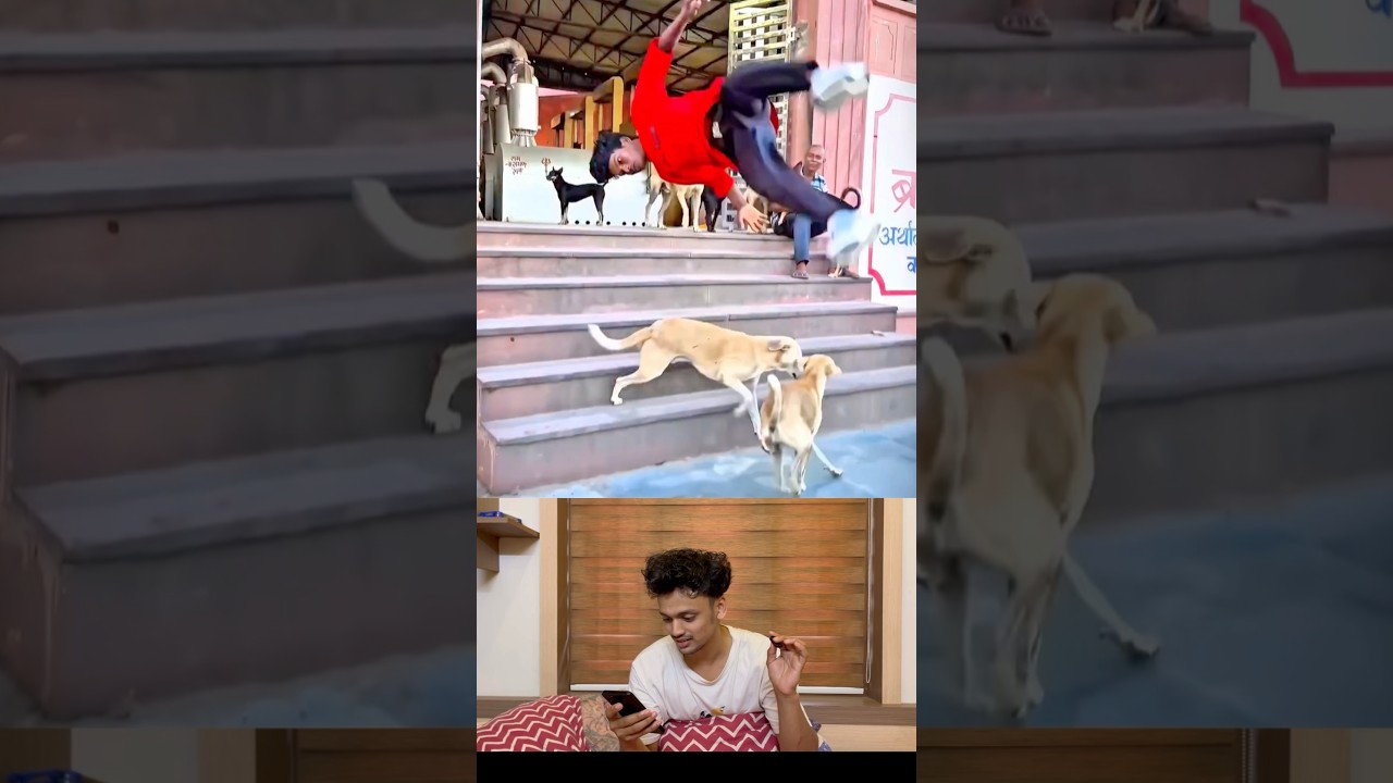 തെരുവ് നായ്കളുടെ അടുത്താണ് അവന്റെ കളി 😂😱 His play is with stray dogs. 🦮🤸‍♂️