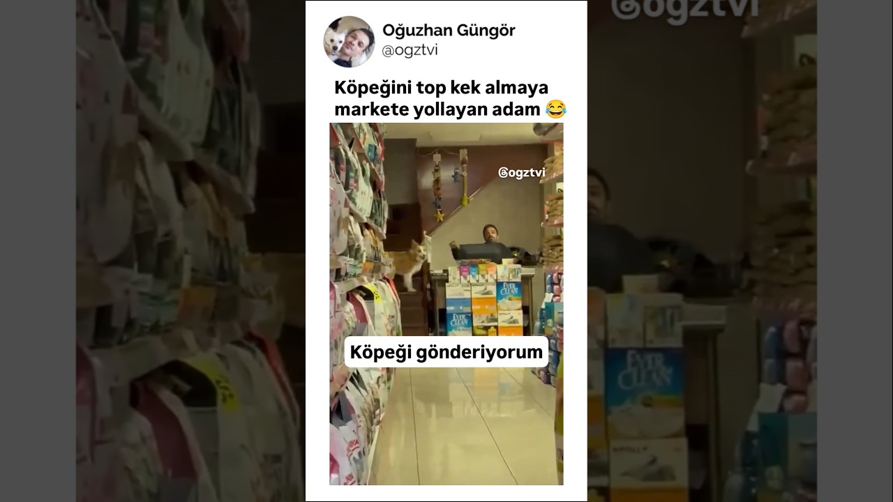 Sahibi tarafından markete gönderilen köpek