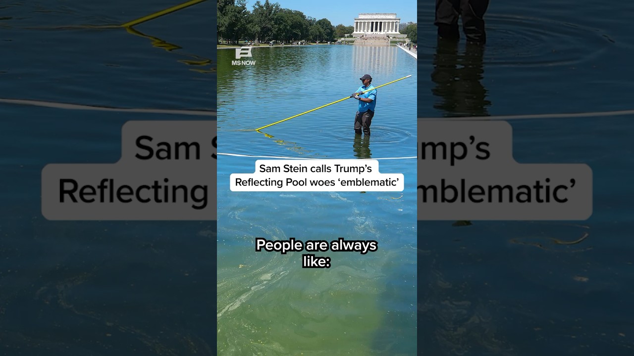 Sam Stein calls Trump’s Reflecting Pool woes ‘emblematic’