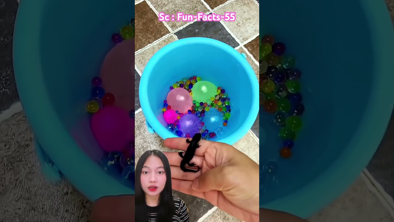 Mana ya rumah cic4k⁉️ Fun-Facts-55