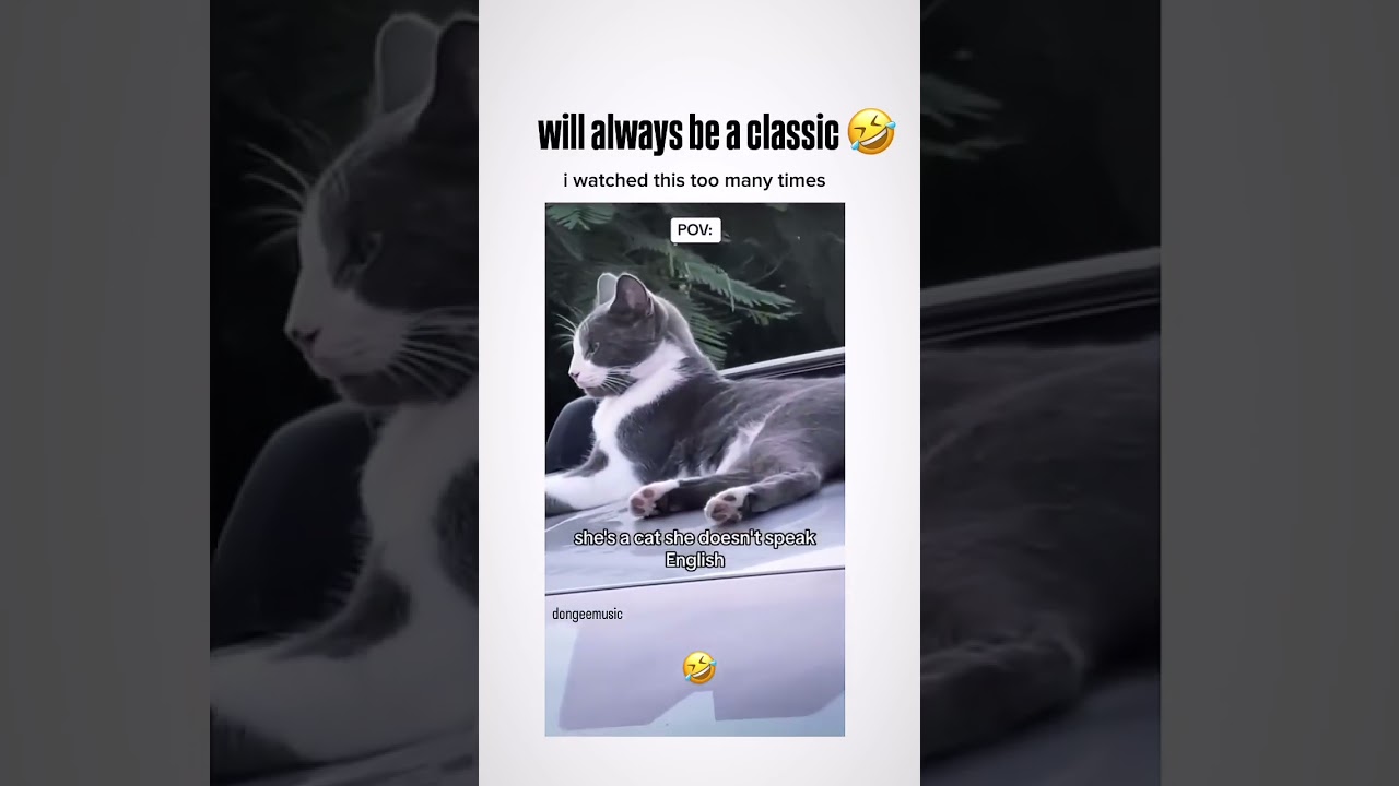 The last month of ‘winter’ posting on FB we have been doing some testing to see what clients are