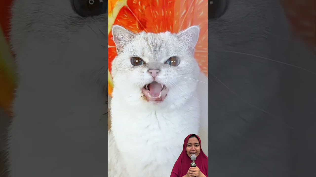 MIAW LEGO NAKAL⁉️SEMUA DIHANCURKAN😱😍CrazyShinyCa