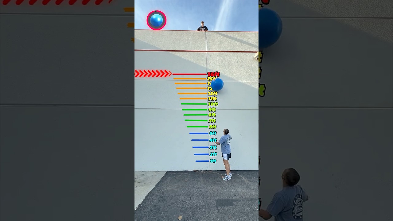 Which Ball Bounces The Highest!?