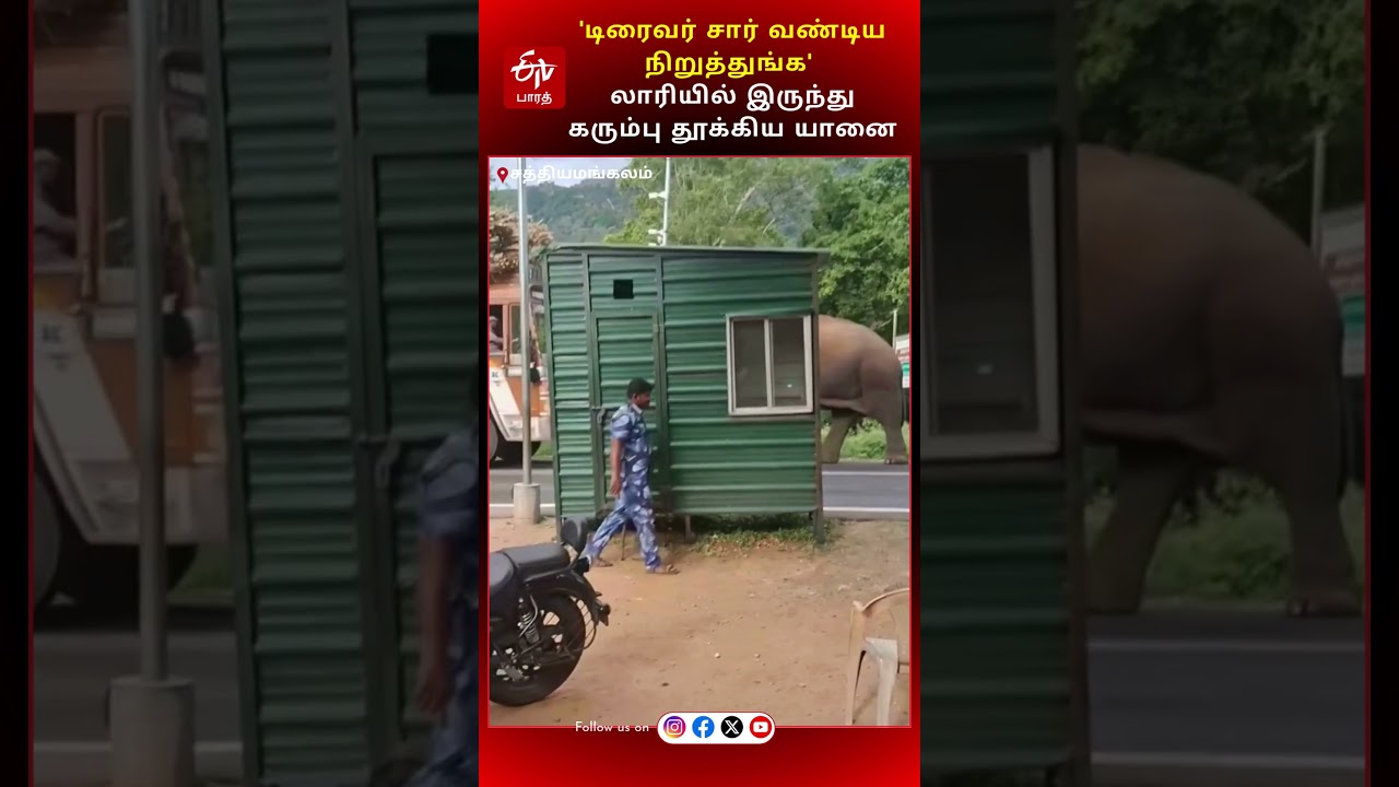 'டிரைவர் சார் வண்டிய நிறுத்துங்க' லாரியில் இருந்து கரும்பு தூக்கிய யானை | Elephants roaming