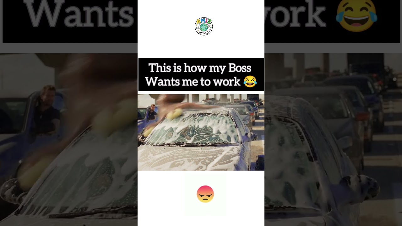 This is how my Boss wants me to work 😂