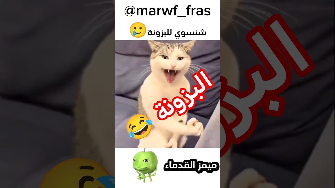 ههههه😂غير صالح للحيوانات😂 #ههههههه #ضحك #اكسبلور#الشعب_الصيني_ماله_حل #لايك #دويتو #كوميديات #funny
