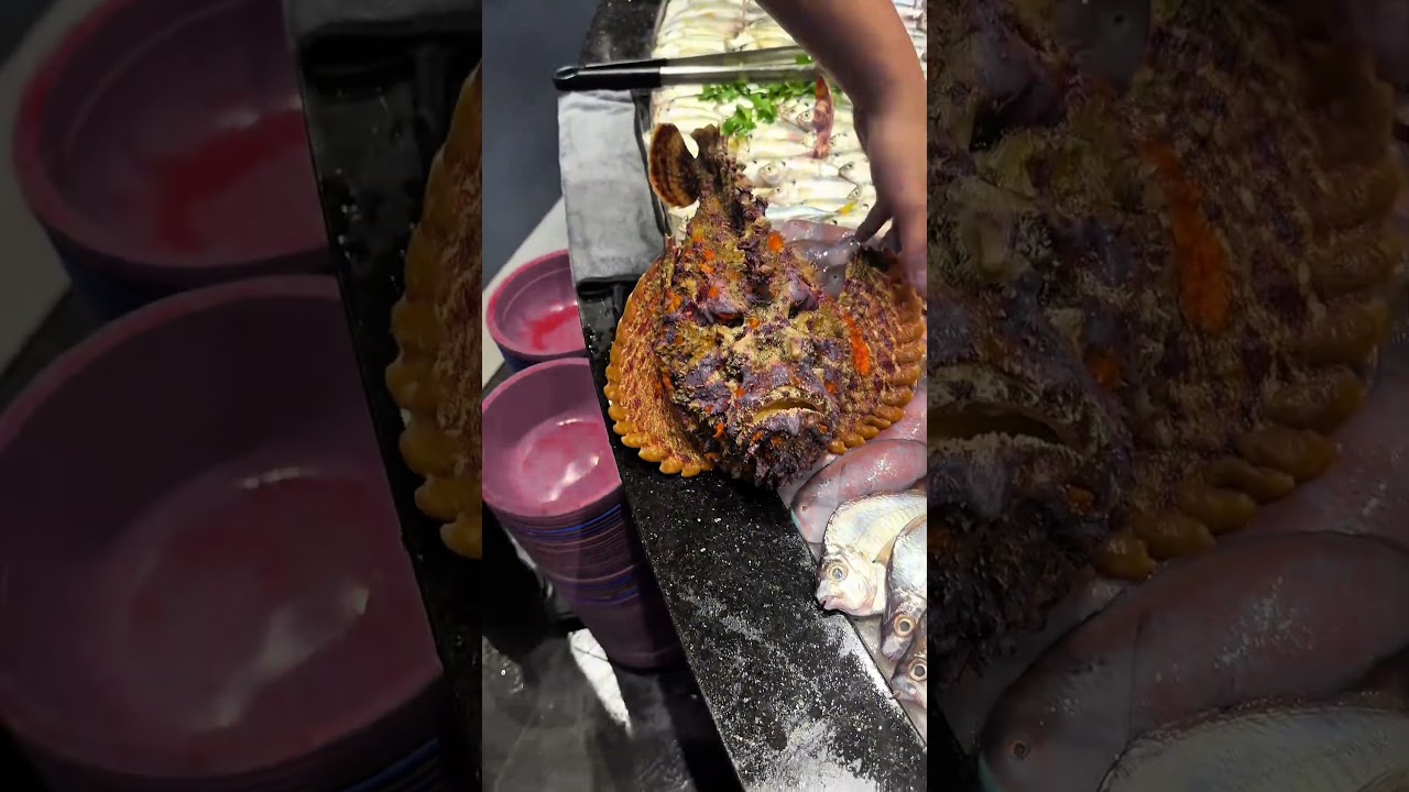 Stonefish – World’s Most Venomous Fish | Deadliest Ocean Creature Explained 🐟⚠️