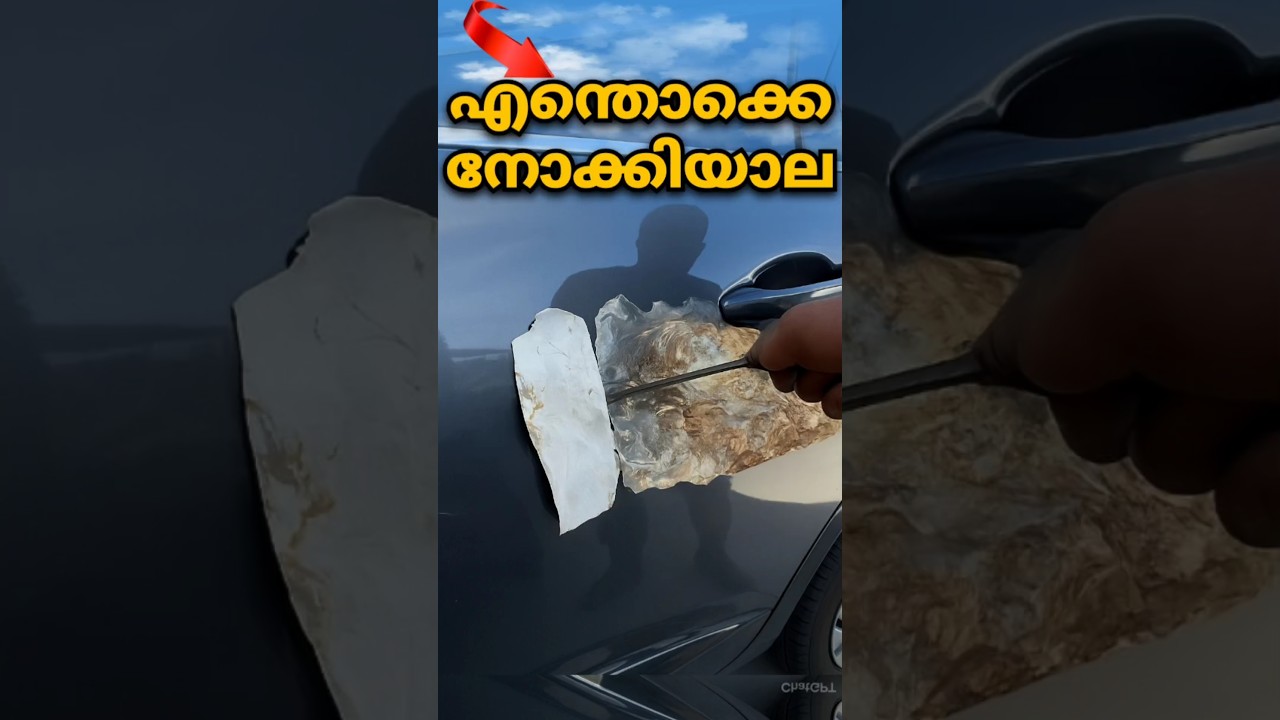 ഹൊ എന്തൊക്കെ നോക്കിയലാ | Car paint tester #car  #secondhandcars #tester