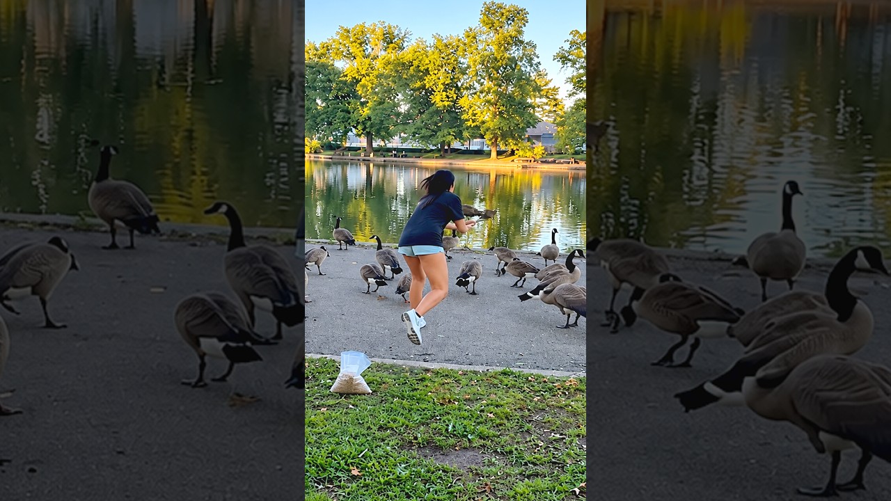 She dropped everything to save this helpless goose 👏❤️ Thanks @nancypriorRescue