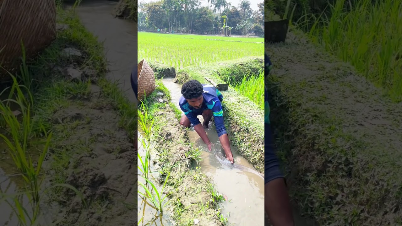 #fishing #newमारवाड़ीcomedy #viralvideo