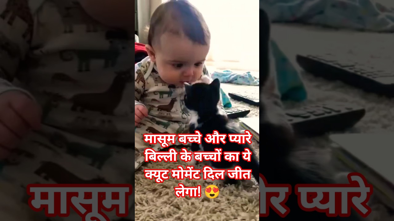 “बच्चे को पंजा पड़ा तो माँ बिल्ली ने अपने ही बच्चे को सबक सिखा दिया 😂🐱”
