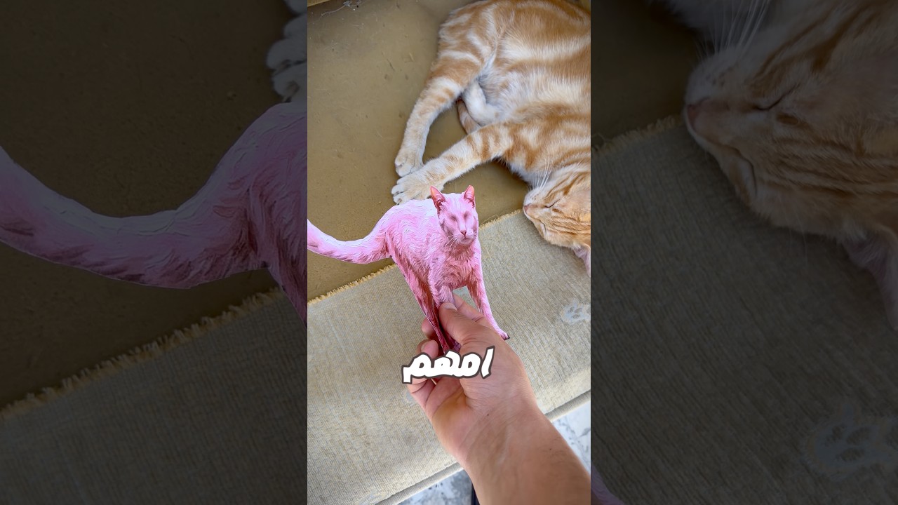 لورسمت على القطة رح تصير زي النمر الوردي😱