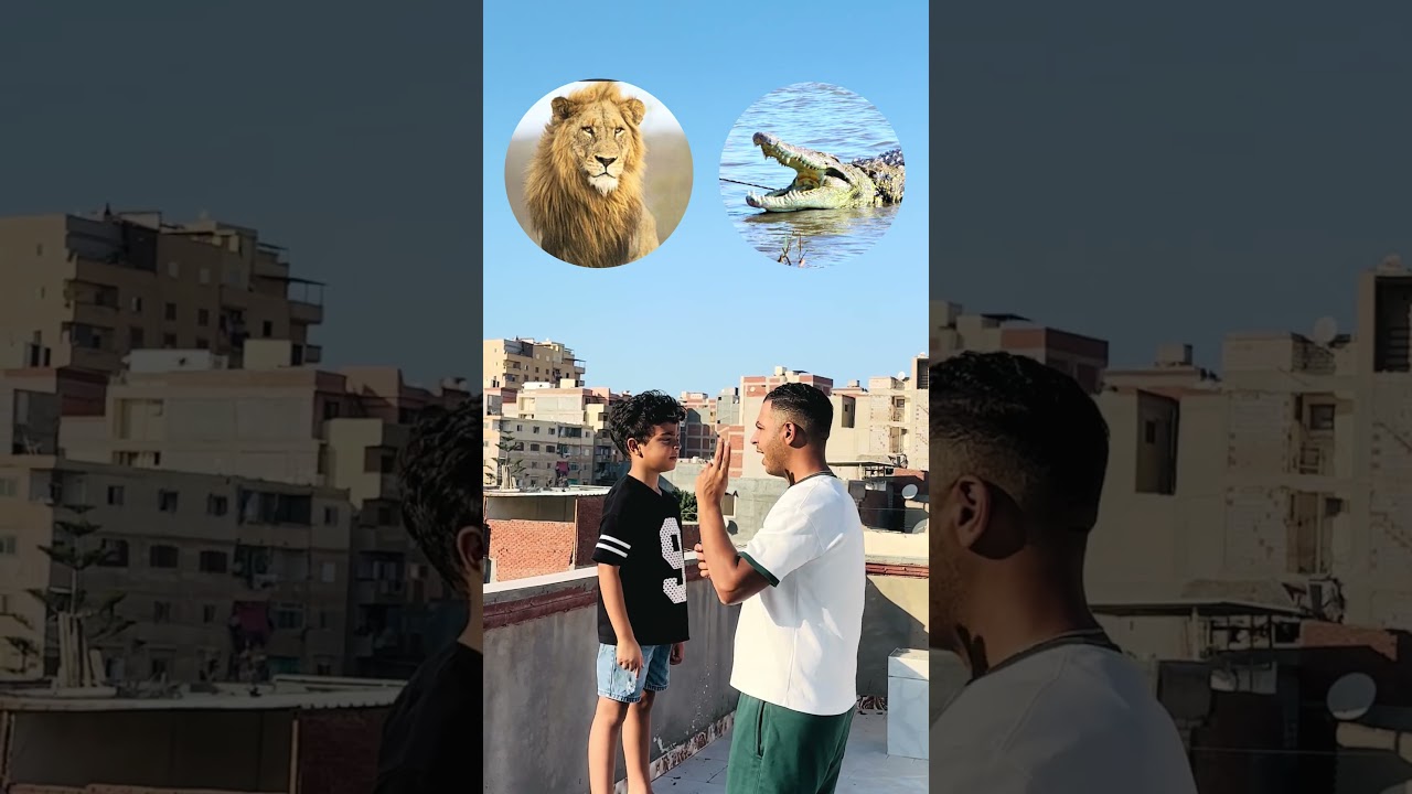 فول😱 وانت بتحب ايه❤️🔥😂