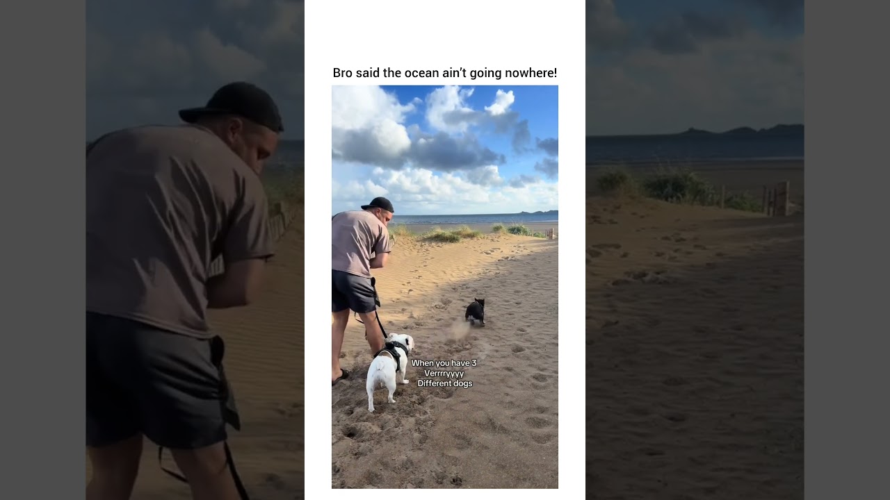 “No thanks I’ll just take a slow stroll!” 🤣