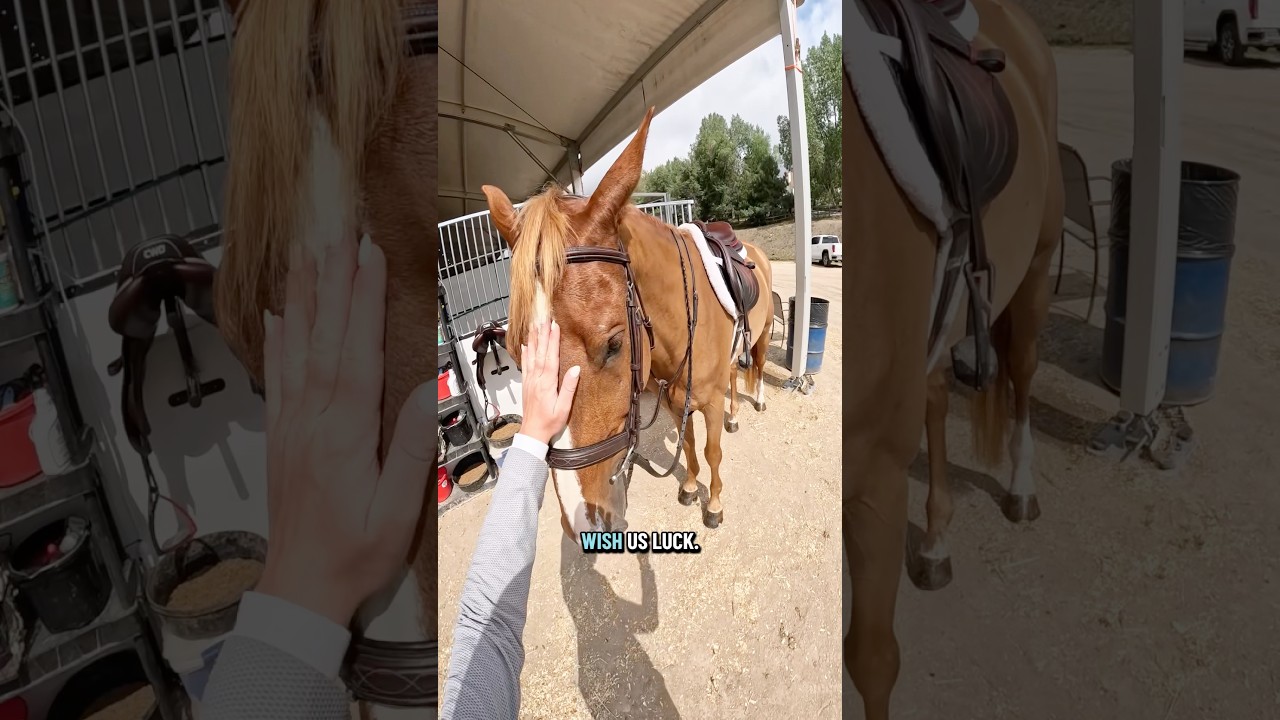 I felt so bad waking him up from his cute lil nap🥺🥺 #farmlife #fyp #pov #grwm #tackup