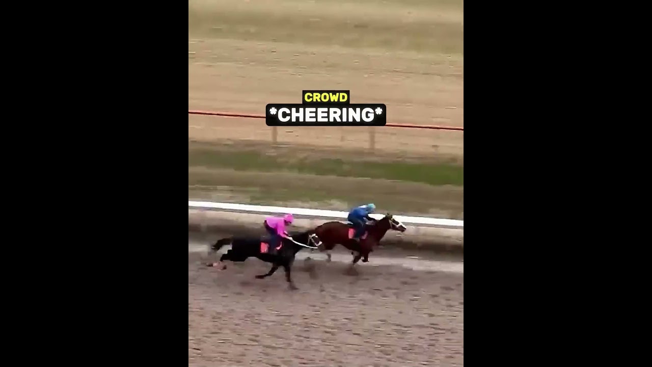 Horse Race Reveals Gender Of Child ❤️