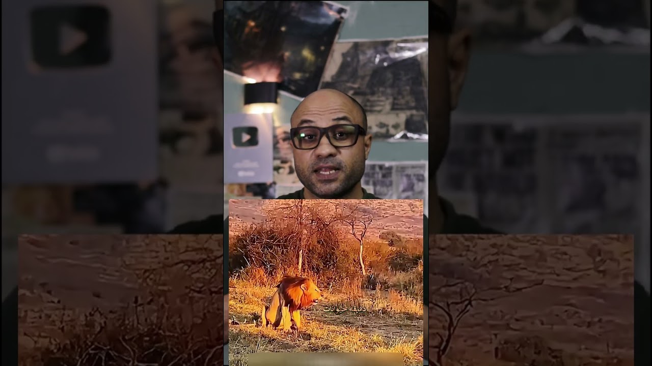 وليمة العمر… طلعت فخ  😳🦁