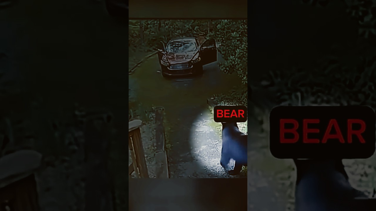 This family found unexpected thing on  their way…..