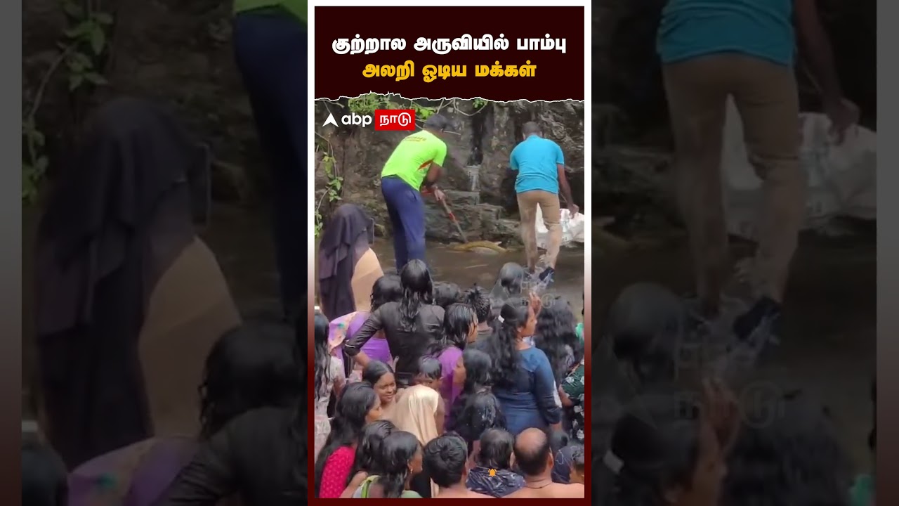 குற்றால அருவியில் பாம்பு.. அலறி ஓடிய மக்கள்! Coutrallam | Snake