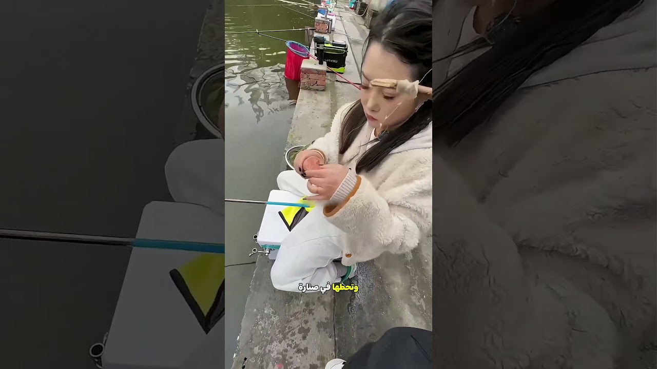 أثبت لأمه إن السمك بيحب الأكل العادي 🐟