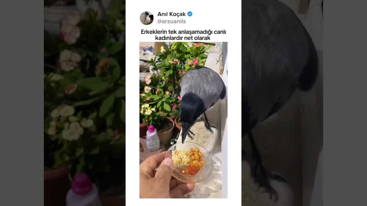 Kargaya eğitim veren abimiz @dmr_ibo