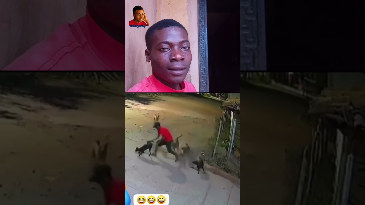 just laugh and share 🤣 #fypシ゚viral #funny #youtobeshorts #reaction