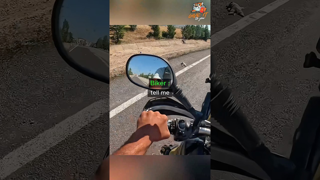 A Biker changes an abandoned Dog's life 🙊